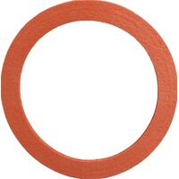 3M 6895 Inhalation Port Replacement Gasket