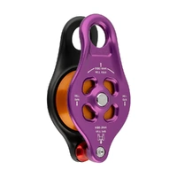 DMM Pinto 2 Rig Pulley